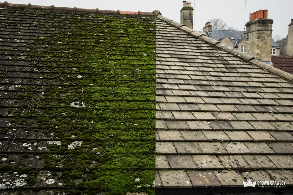 Roof slope half cleaned of moss, the left side still green