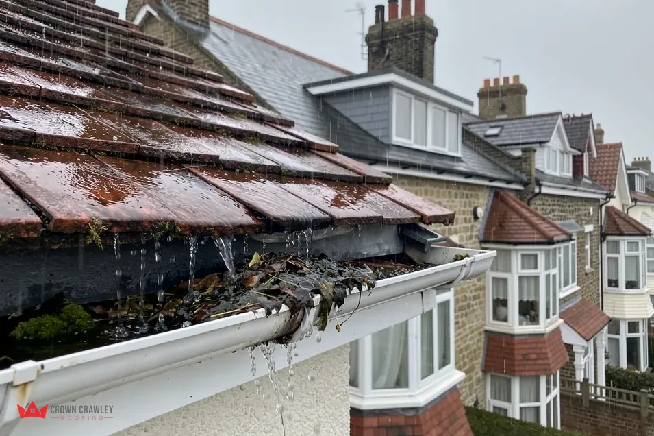 Blocked guttering full of debris below a wet tiled roof